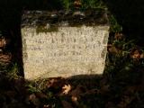 image of grave number 693038